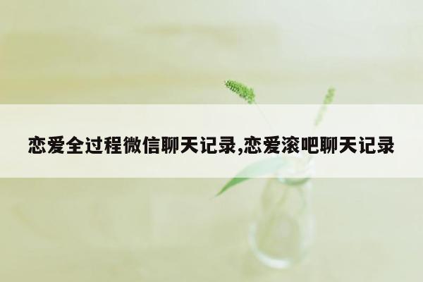 恋爱全过程微信聊天记录,恋爱滚吧聊天记录