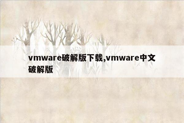 vmware破解版下载,vmware中文破解版