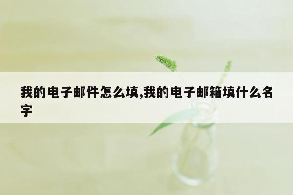 我的电子邮件怎么填,我的电子邮箱填什么名字