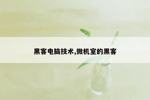 黑客电脑技术,微机室的黑客