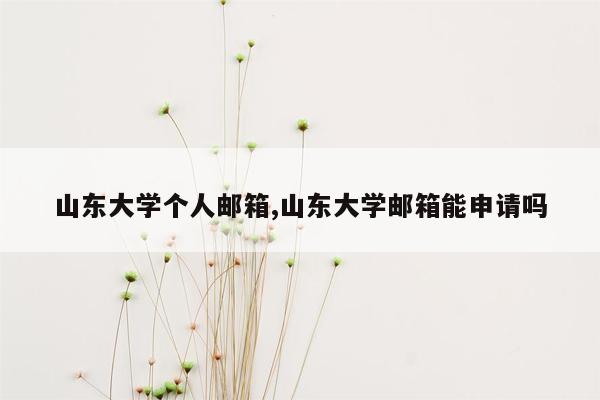 山东大学个人邮箱,山东大学邮箱能申请吗