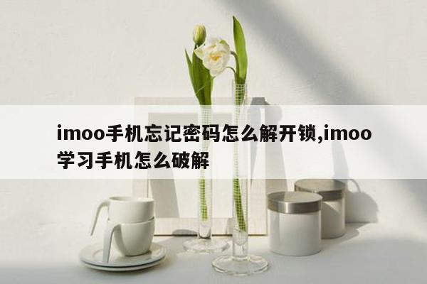 imoo手机忘记密码怎么解开锁,imoo学习手机怎么破解