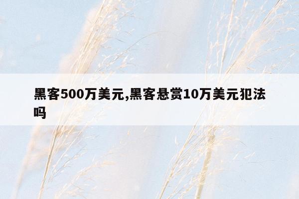 黑客500万美元,黑客悬赏10万美元犯法吗