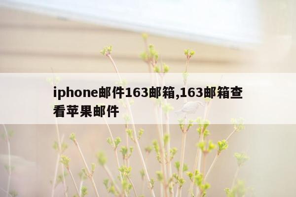 iphone邮件163邮箱,163邮箱查看苹果邮件