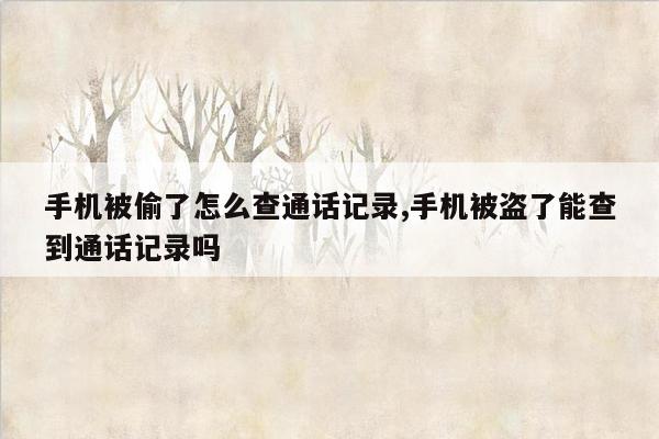 手机被偷了怎么查通话记录,手机被盗了能查到通话记录吗