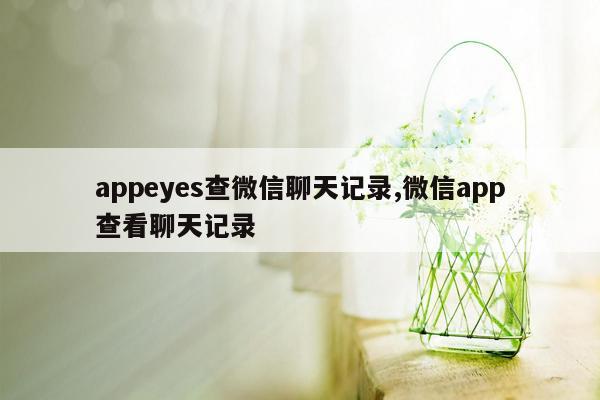 appeyes查微信聊天记录,微信app查看聊天记录