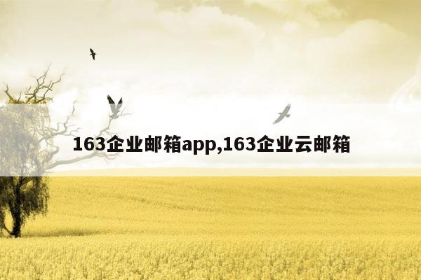 163企业邮箱app,163企业云邮箱