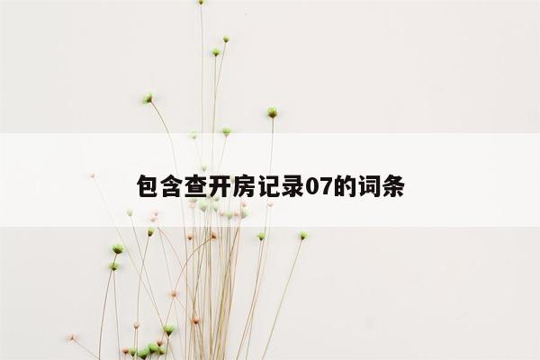 包含查开房记录07的词条