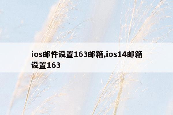 ios邮件设置163邮箱,ios14邮箱设置163