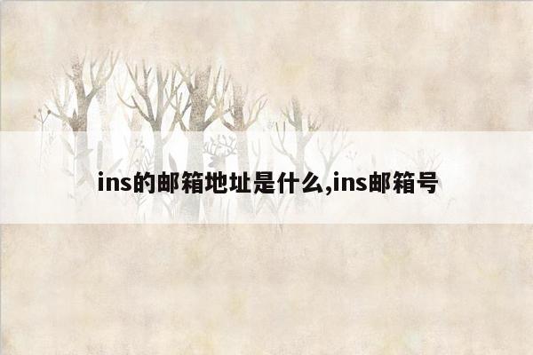 ins的邮箱地址是什么,ins邮箱号