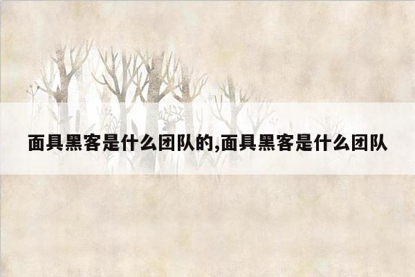 面具黑客是什么团队的,面具黑客是什么团队