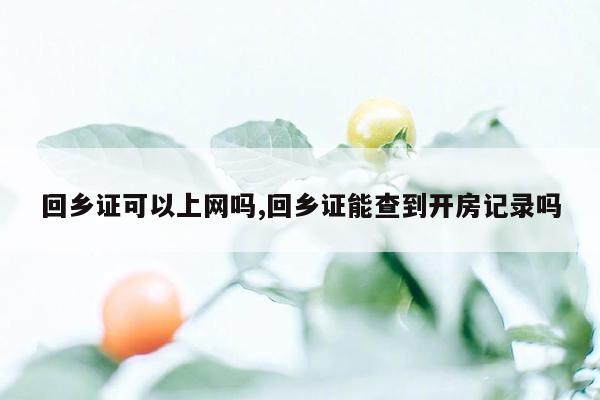 回乡证可以上网吗,回乡证能查到开房记录吗