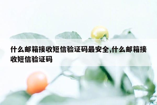 什么邮箱接收短信验证码最安全,什么邮箱接收短信验证码