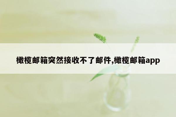 橄榄邮箱突然接收不了邮件,橄榄邮箱app