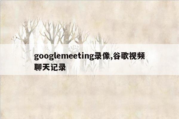 googlemeeting录像,谷歌视频聊天记录