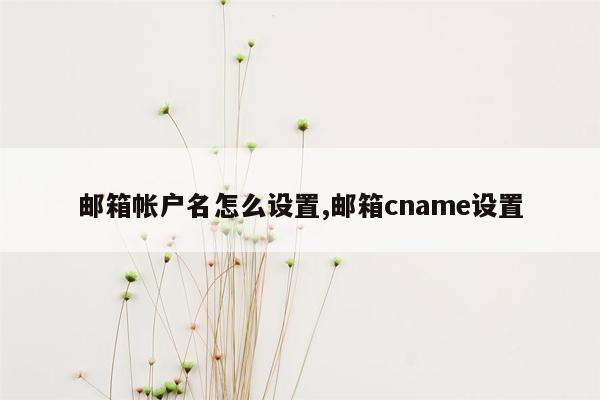 邮箱帐户名怎么设置,邮箱cname设置