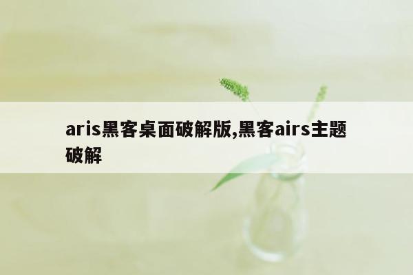 aris黑客桌面破解版,黑客airs主题破解