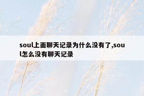 soul上面聊天记录为什么没有了,soul怎么没有聊天记录