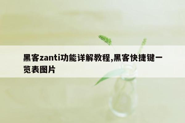 黑客zanti功能详解教程,黑客快捷键一览表图片