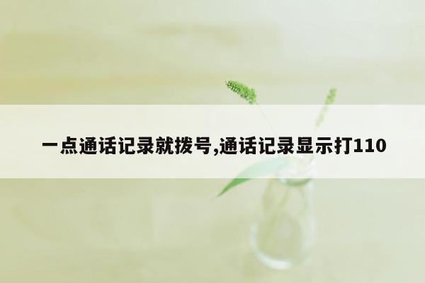 一点通话记录就拨号,通话记录显示打110