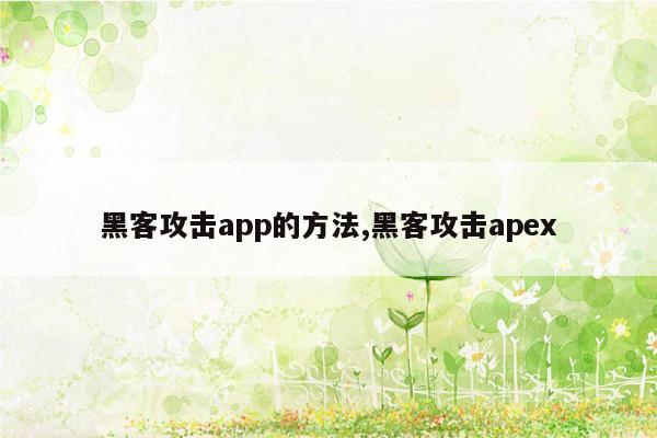 黑客攻击app的方法,黑客攻击apex