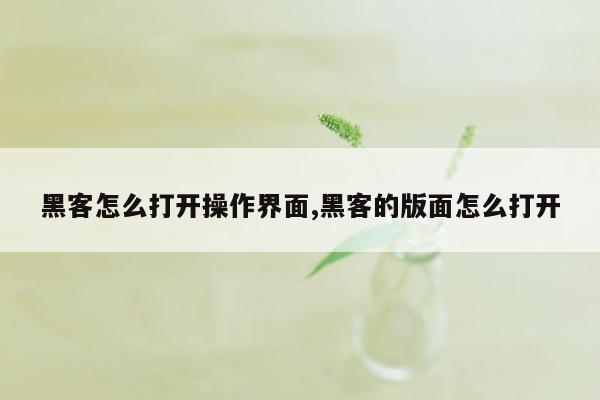 黑客怎么打开操作界面,黑客的版面怎么打开