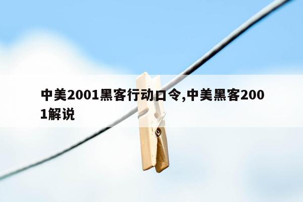 中美2001黑客行动口令,中美黑客2001解说