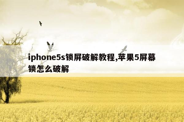 iphone5s锁屏破解教程,苹果5屏幕锁怎么破解