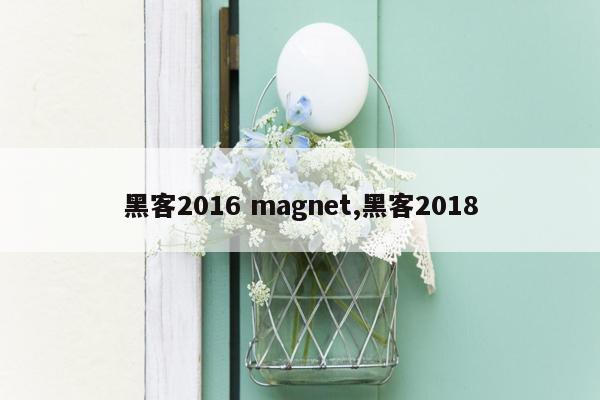 黑客2016 magnet,黑客2018