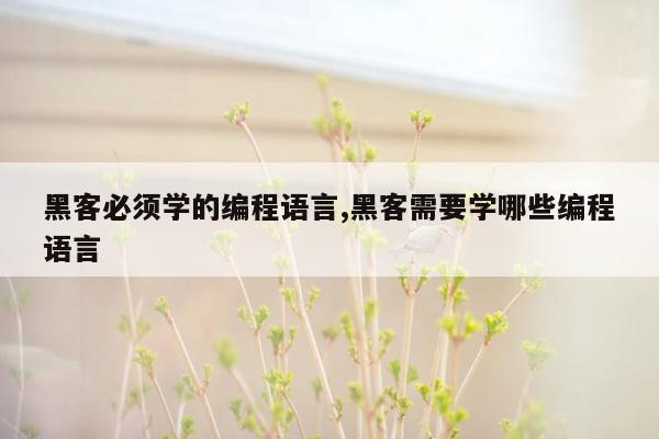 黑客必须学的编程语言,黑客需要学哪些编程语言