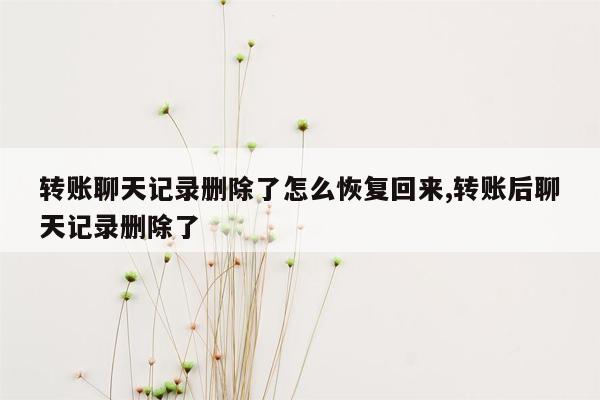 转账聊天记录删除了怎么恢复回来,转账后聊天记录删除了