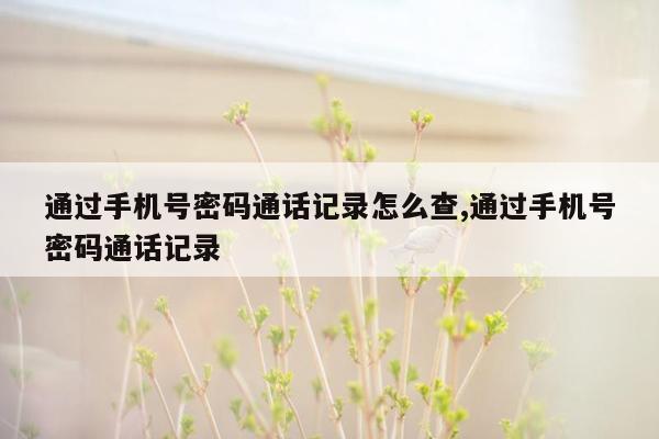 通过手机号密码通话记录怎么查,通过手机号密码通话记录