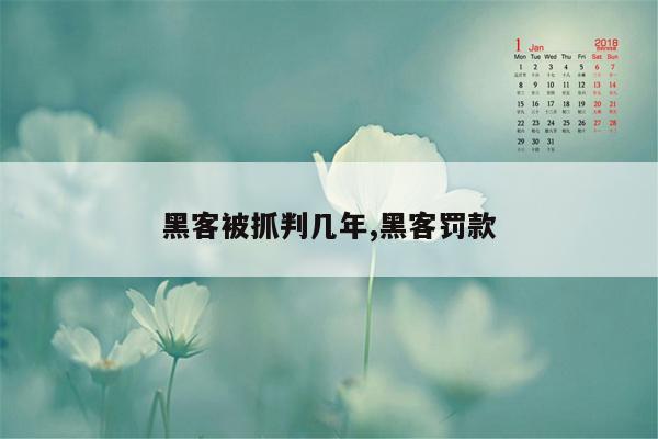 黑客被抓判几年,黑客罚款