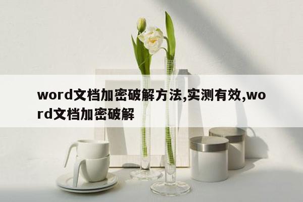 word文档加密破解方法,实测有效,word文档加密破解