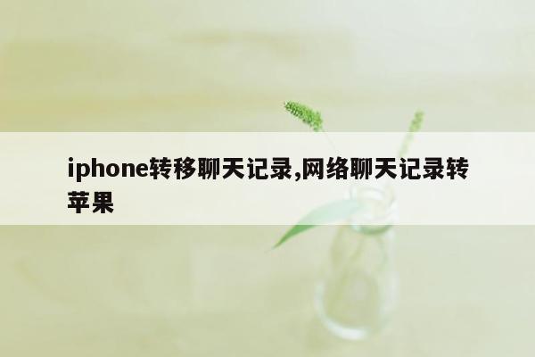 iphone转移聊天记录,网络聊天记录转苹果