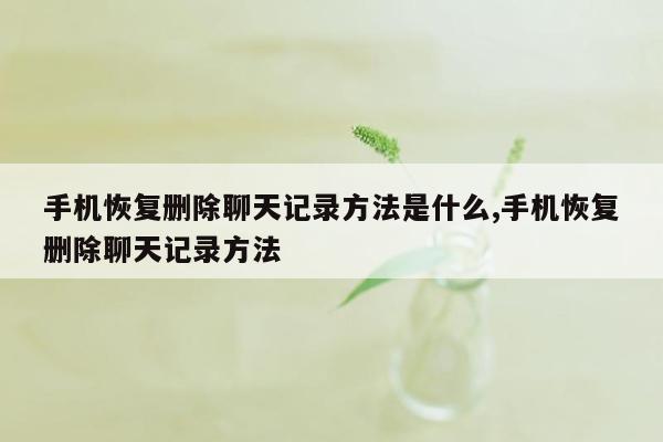 手机恢复删除聊天记录方法是什么,手机恢复删除聊天记录方法