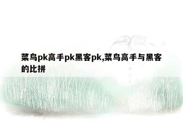 菜鸟pk高手pk黑客pk,菜鸟高手与黑客的比拼