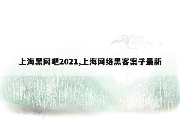 上海黑网吧2021,上海网络黑客案子最新