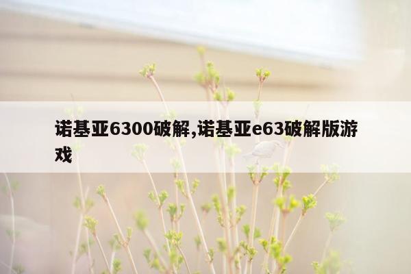 诺基亚6300破解,诺基亚e63破解版游戏